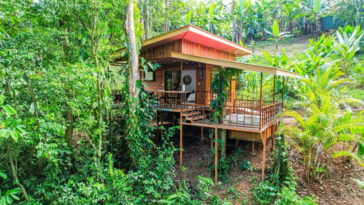 Cabaña árbol construida por ConstruHomesCR rodeada de selva tropical en La Fortuna de San Carlos